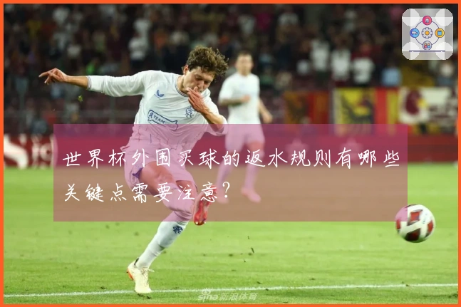 世界杯外围买球的返水规则有哪些关键点需要注意?