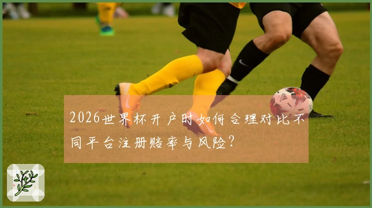 2026世界杯开户时如何合理对比不同平台注册赔率与风险？
