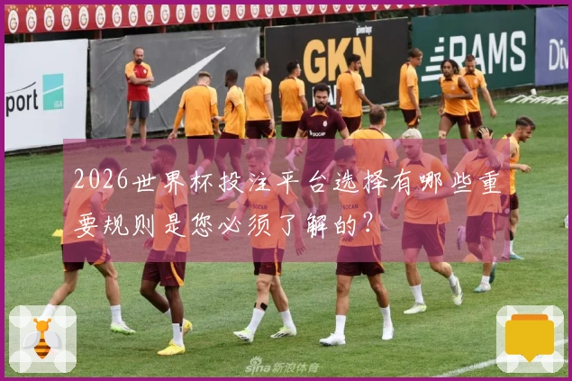 2026世界杯投注平台选择有哪些重要规则是您必须了解的？